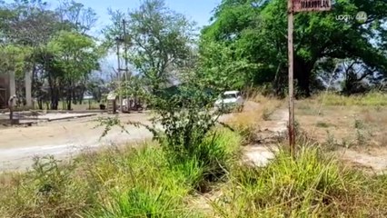 Banco del Bienestar limitado en la región de Autlán: solo el 30% de sus sucursales están en funcionamiento