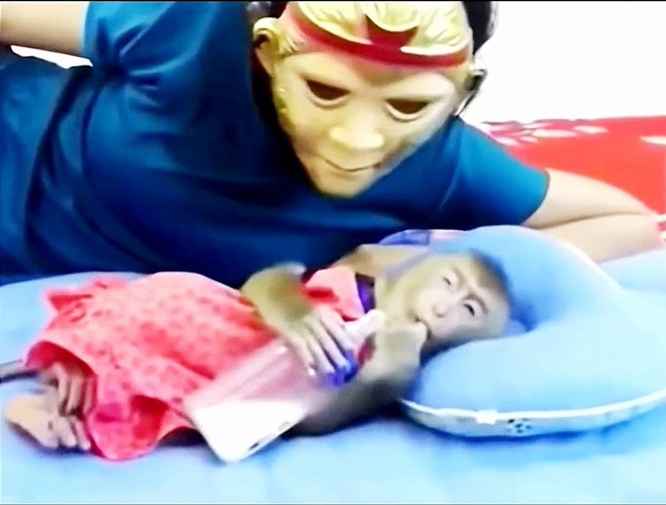 Did the monkey get scared?