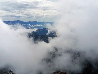 Video Kawasan Taman Nasional Gunung Leuser