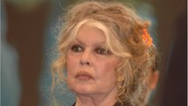 GALA VIDÉO - Brigitte Bardot : “Dès qu’elle approche, il hurle…”, sa relation compliquée avec son fils unique Nicolas