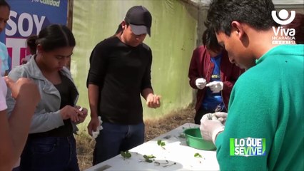 Inauguran Curso de Injertación de Café en el Centro Tecnológico de las Sabanas en Estelí