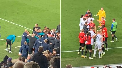 Moment mass brawl erupts between Swansea and Preston players and staff