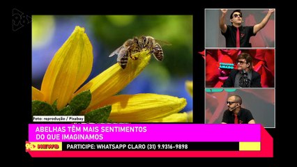 Ricardo Amado 20/04/23