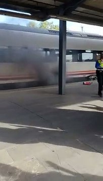 Incêndio em motor provoca evacuação de comboio entre Madrid e Cáceres