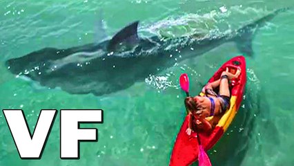 LA SAISON DES REQUINS Bande Annonce VF