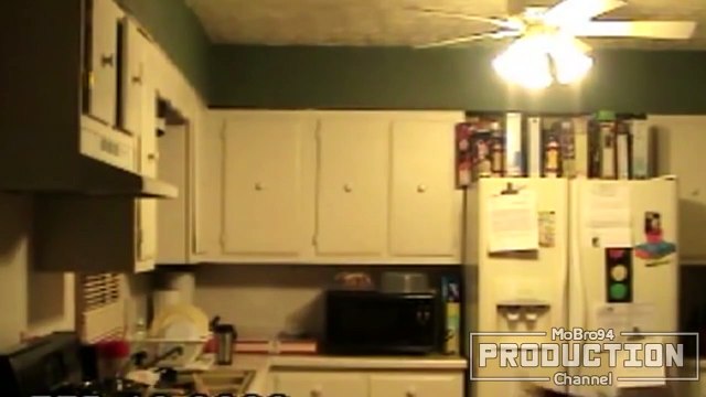 Cats scared of mice and birds – Funny animal compilation