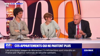 Immobilier: "Les prix ne baissent pas suffisamment pour redonner envie aux gens d'acheter" pour Guillaume Martinaud (ORPI)