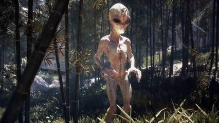 Dark Operations Exposed