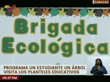 Caracas | Más de 29 mil instituciones son beneficiadas con el programa Un Estudiante Un Árbol