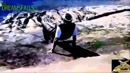 Ultimate Extreme Fail - Funny Fails - Funny Animals - Funny Compilation 2015