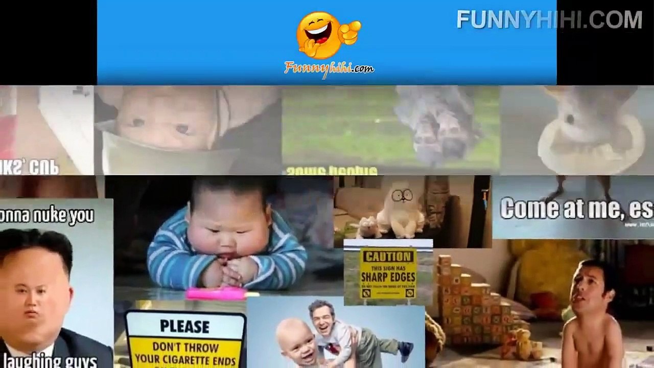 Funny Cats Compilation - Funny Animals Cartoons - Funny Cat Videos - Funny Animal 2015 (2)