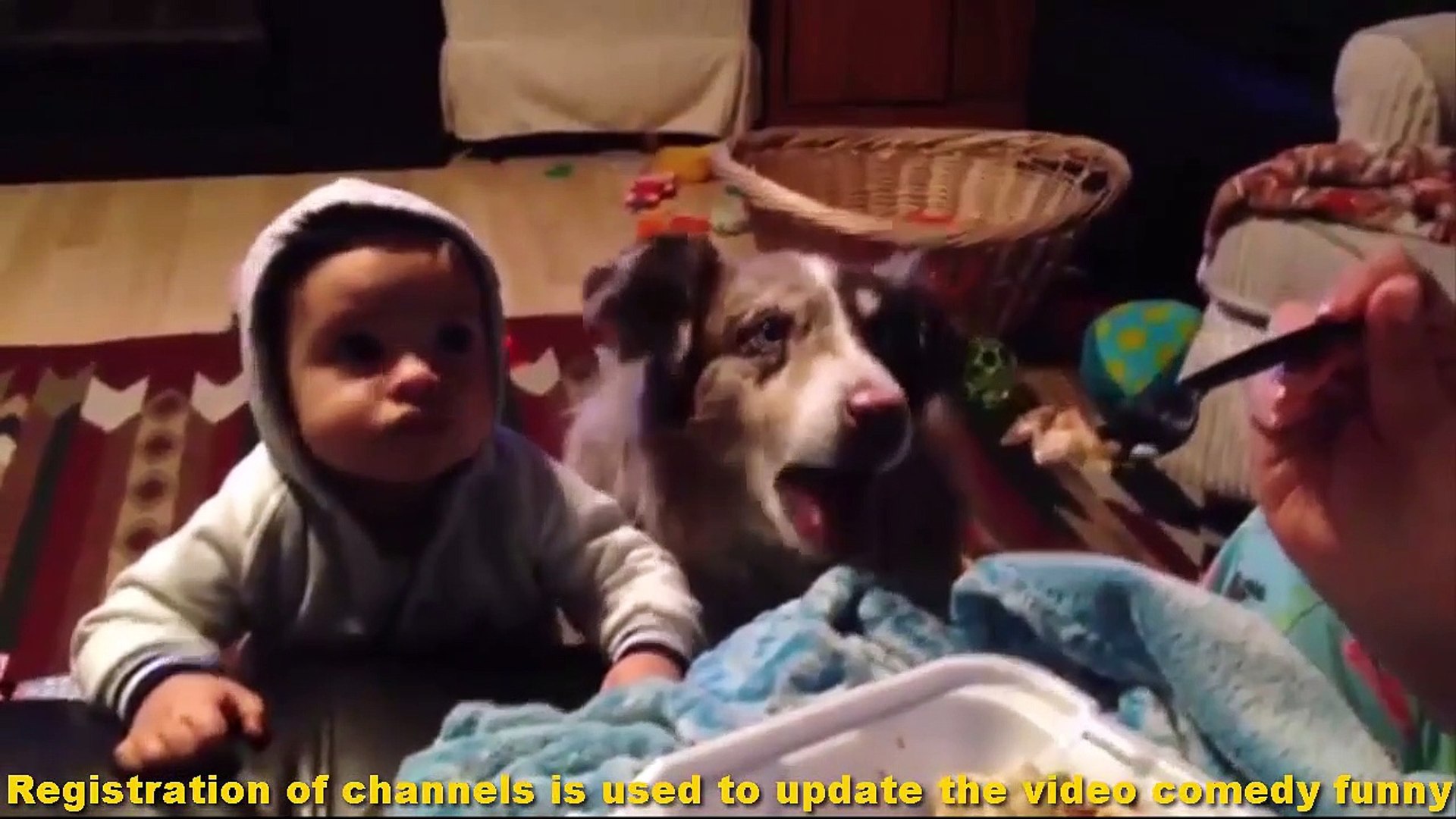Synthetic funny animals - funny animal videos