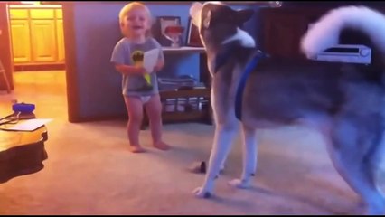 Cute and Funny Animal Videos Sooo Cute!