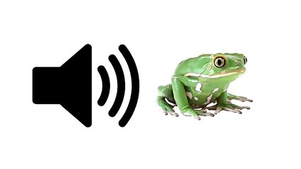 Frog (Croaking) - Sound Effect _ ProSounds.mp4