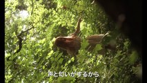 エンジェル、見えない恋人 | movie | 2017 | Official Trailer