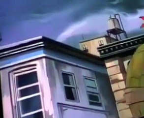 Teenage Mutant Ninja Turtles (1987) S03 E028 Beware the Lotus