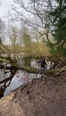 Boy's Tree Climbing Adventure Ends With a Splash
