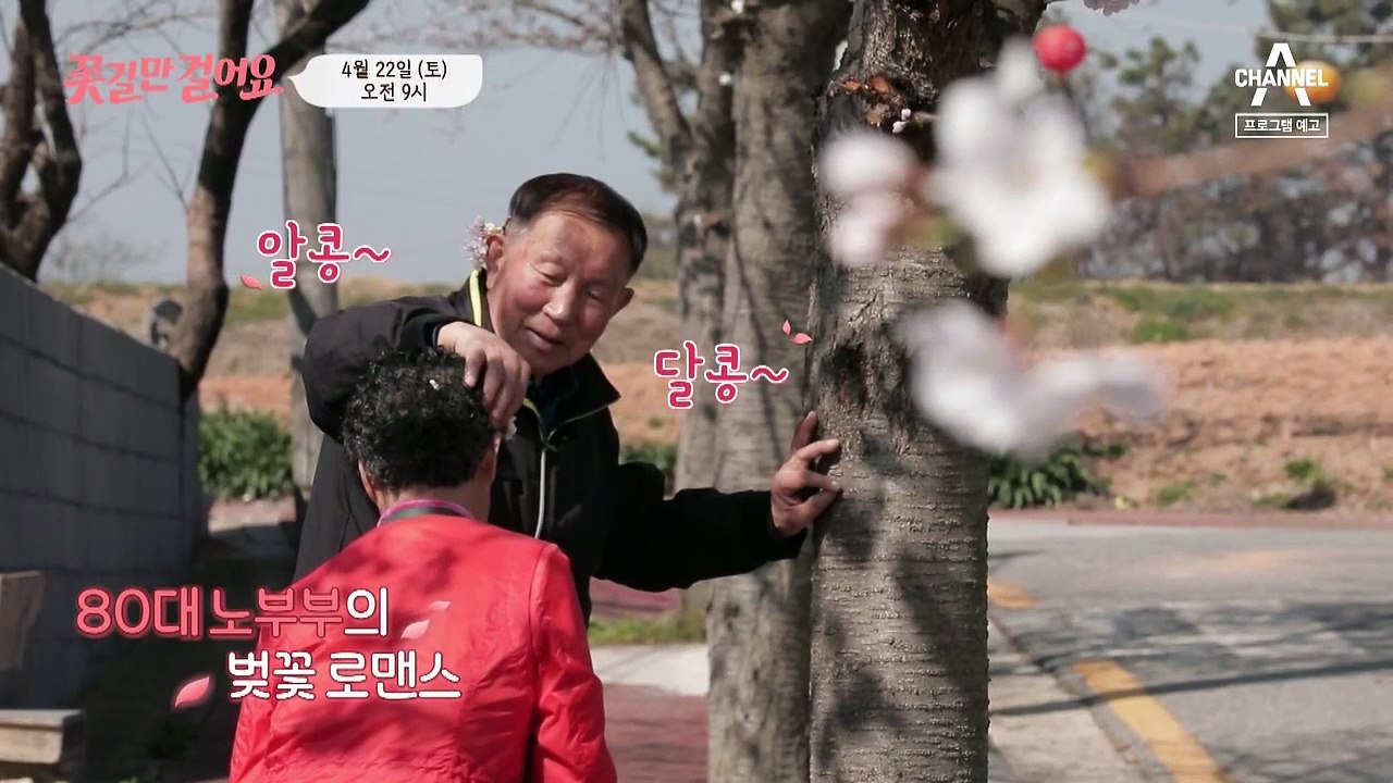 [예고] 이렇게 노후를 보낼 순 없다! 인생의 봄날을 되찾기 위한 꽃길 프로젝트