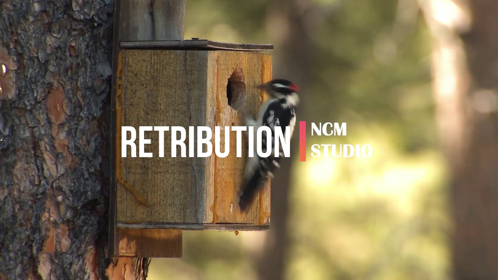 ⁣Retribution - NEFFEX, Rock Music, Angry Music