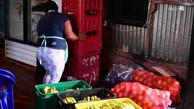Investigadoras de la UdeG detectan plaguicidas tóxicos en alimentos y en orina de niños