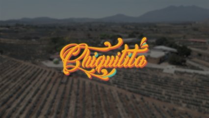 Banda Los Recoditos - Chiquitita