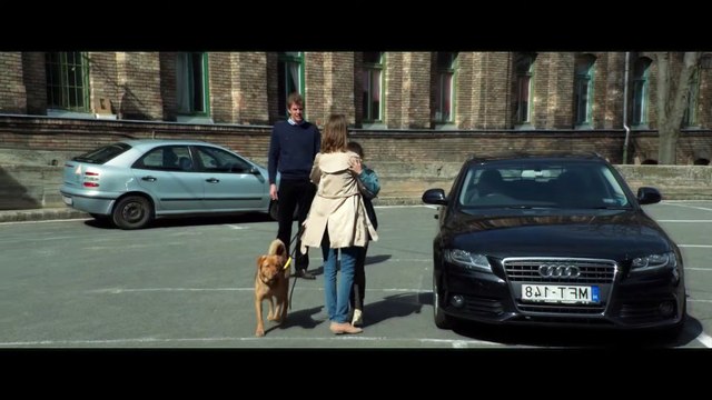 These Abused Dogs Finally Got Their Revenge!