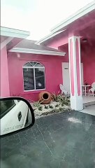 Zonia's House Homestead, FL 2022