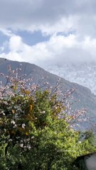 Rakkar Khanyara | Dharamshala Guide