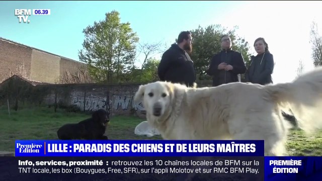 Lille, première ville de France où il fait bon vivre avec son chien d'après 30 Millions d'amis
