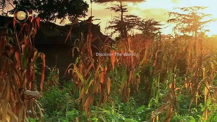 سورج کی اس عجیب و غریب چیز نے سائنسدان کو خوفزدہ کردیا۔