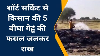 बांदा: आग ने छीना किसानों के मुंह से निवाला, 5 बीघा गेहूं की फसल जलकर राख