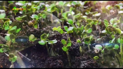 ویژه برنامه آینه - جمعه 1 اردیبهشت 1402