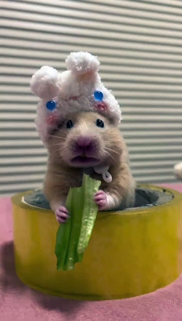 ⁣Animals Eating Food | Animals Funny Moments | Cute Pets | Funny Animals #animals #pets #cutepets #4u