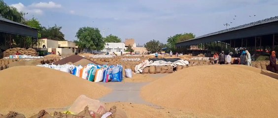 कृषि जिन्सों की नहीं हुई खरीद-फरोख्त