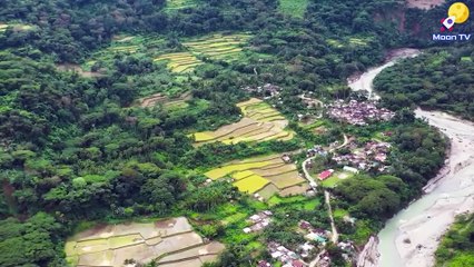 Méditation de yoga pour une harmonisation globale