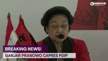 Breaking News! Megawati Resmi Umumkan Ganjar Pranowo Capres dari PDI Perjuangan