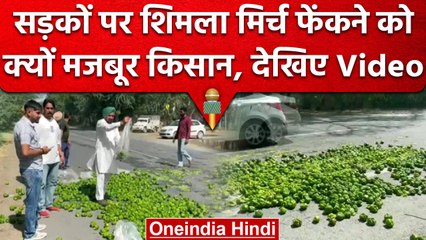 Punjab में सड़कों पर capsicum फेंकने पर मजबूर किसान, जानें पूरा मामला | वनइंडिया हिंदी