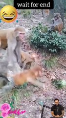 Tranding shorts on youtube-Tranding shorts video- tranding shorts channel#tranding #viral #shorts 21 (1)