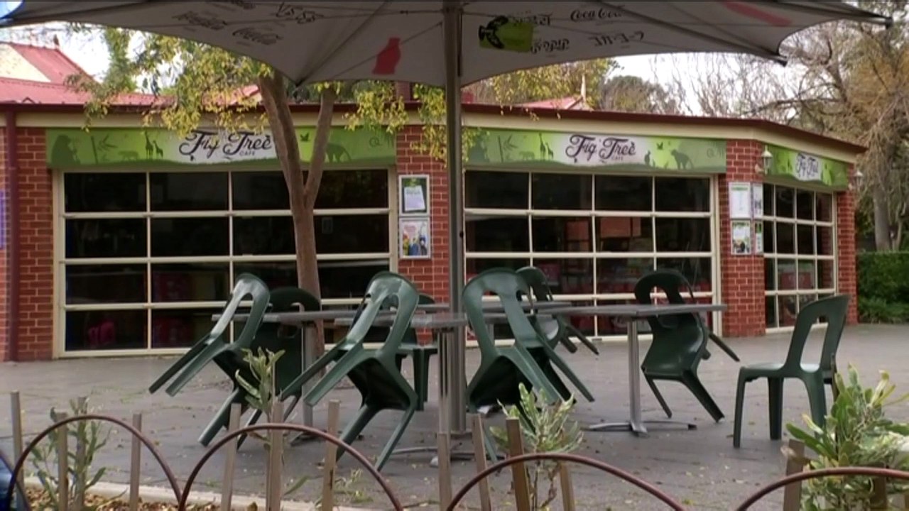 Adelaide Zoo’s relaxing morning sessions to be extended