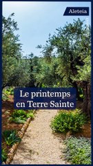 Le printemps en Terre sainte