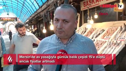 Mersin'de av yasağıyla günlük balık çeşidi 15'e düştü ancak fiyatlar artmadı