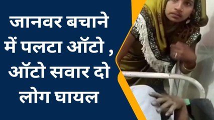 औरैया: जानवर सामने आ जाने के चक्कर में पलटा ऑटो, मची चीख पुकार, कई हुए घायल