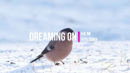 Dreaming On - NEFFEX:  Alternative Music, Happy Music