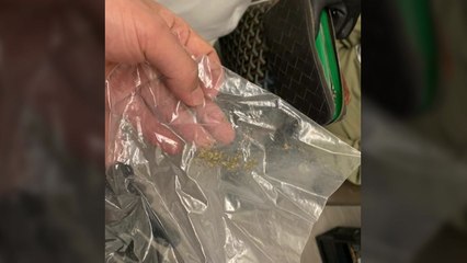 오피스텔 성매매 알선한 업주들 구속...마약도 적발 / YTN