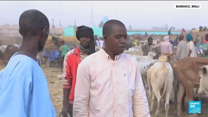 Mali inflation: Eid preparations overshadowed by high prices