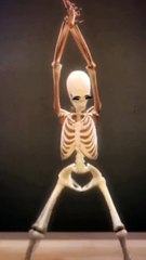 Funny skeleton dancing video