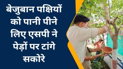 छतरपुर: SP अमित सांघी की सरहनीय पहल, बेजुबान पक्षियों के लिए पेड़ पर टांगे सकोरे