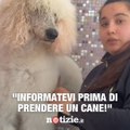 “Informatevi prima di prendere un cane”