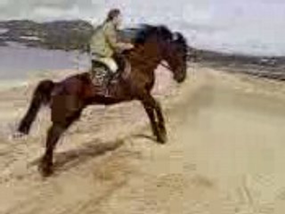 Cso sur la plage