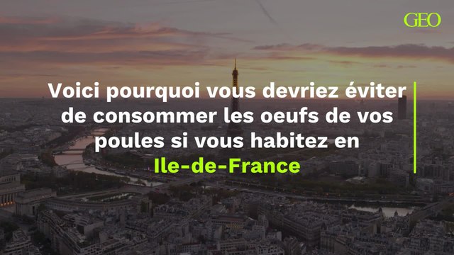 Ile-de-France : voici pourquoi il faut éviter de consommer les oeufs de vos poules